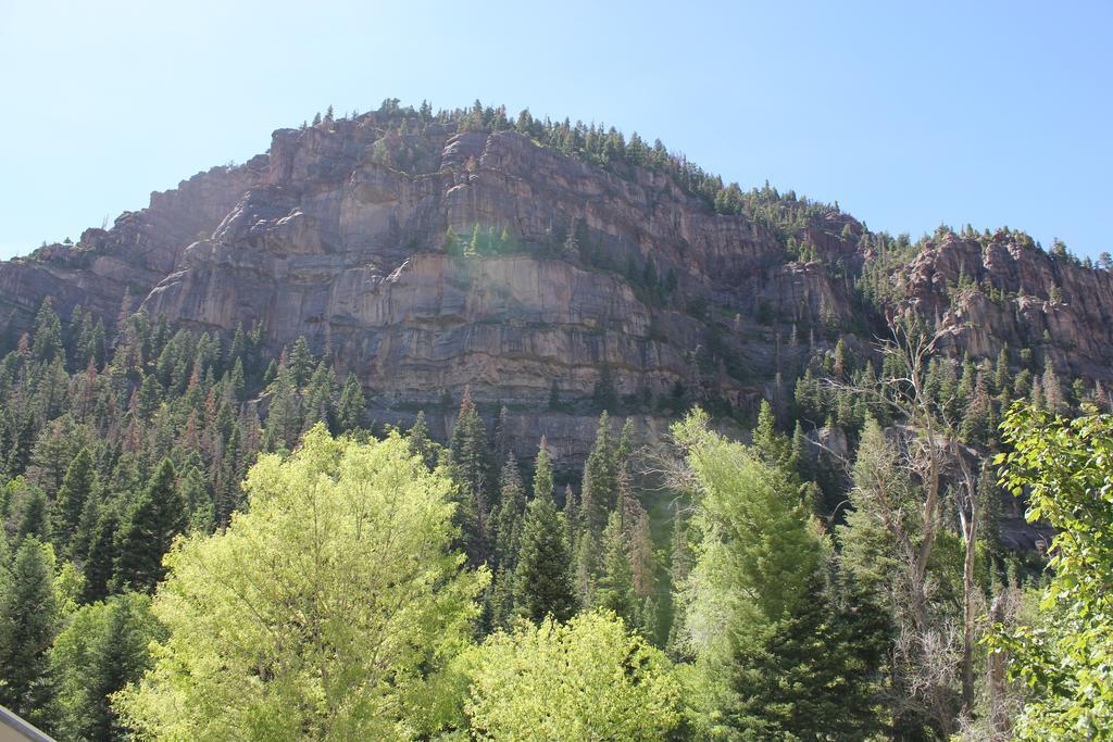 Black Bear Manor Ouray Eksteriør bilde